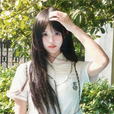 豹